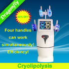 العلامة التجارية آلة جديدة Cryolipolysis الحد من السيلوليت لبراءات الاختراع الجسم كله