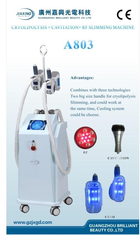 غير الغازية Cryolipolysis التخسيس أدوات تجميل مع 8 بوصة تعمل باللمس اللون / A804